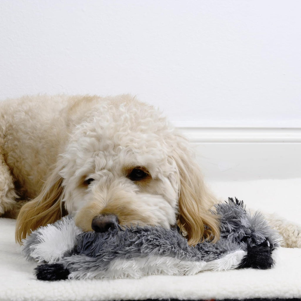 Racoon-Squirrel Flat NO Stuffing NO Squeak Plush Dog Toy, Funny Style Will Entertain Your Pet for Hours